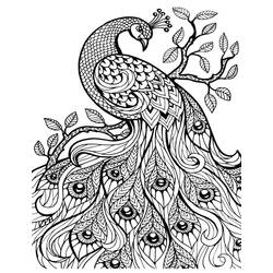 Peacock (Animals) coloring page #197604 to print and color