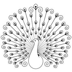 Peacock (Animals) coloring page #197612 to print and color