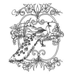 Peacock (Animals) coloring page #197617 to print and color