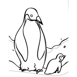 Coloring page: Penguin (Animals) #16822 - Printable coloring pages