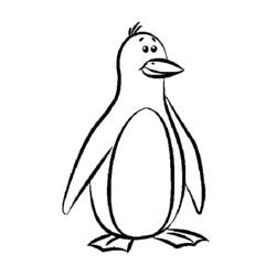Coloring pages: Penguin - Printable coloring pages