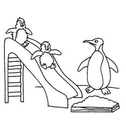 Coloring page: Penguin (Animals) #16825 - Printable coloring pages
