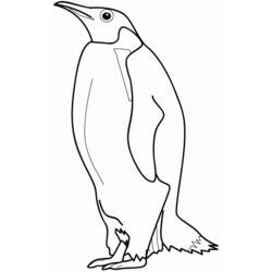 Coloring page: Penguin (Animals) #16842 - Free Printable Coloring Pages