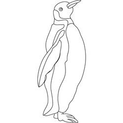 Coloring page: Penguin (Animals) #16860 - Free Printable Coloring Pages