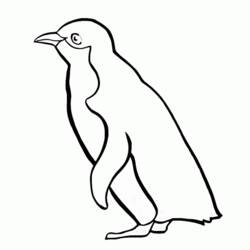 Coloring page: Penguin (Animals) #16874 - Printable coloring pages