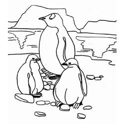 Coloring page: Penguin (Animals) #16876 - Printable coloring pages