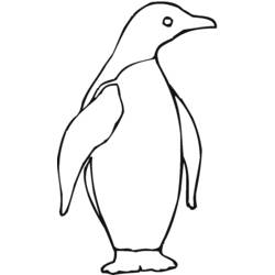 Coloring page: Penguin (Animals) #16900 - Printable coloring pages