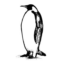 Coloring page: Penguin (Animals) #16905 - Printable coloring pages