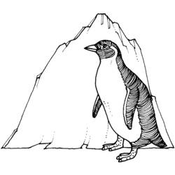 Coloring page: Penguin (Animals) #16943 - Printable coloring pages