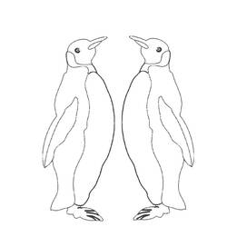 Coloring page: Penguin (Animals) #16950 - Free Printable Coloring Pages