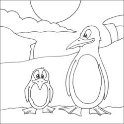 Coloring page: Penguin (Animals) #16976 - Free Printable Coloring Pages