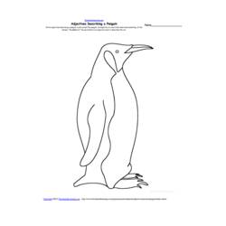 Coloring page: Penguin (Animals) #16988 - Free Printable Coloring Pages