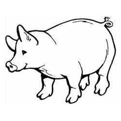 Pig (Animals) coloring page #17621 to print and color