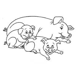 Coloring page: Pig (Animals) #3601 - Printable coloring pages