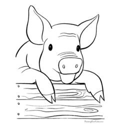 Coloring page: Pig (Animals) #3605 - Free Printable Coloring Pages