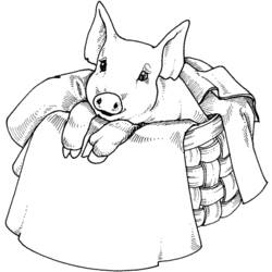 Coloring page: Pig (Animals) #3642 - Free Printable Coloring Pages