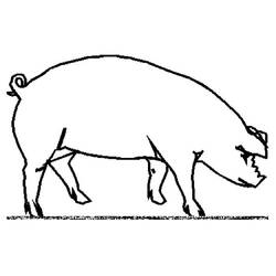 Coloring page: Pig (Animals) #3643 - Free Printable Coloring Pages