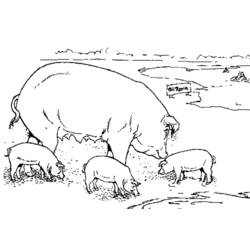 Coloring page: Pig (Animals) #3661 - Printable coloring pages