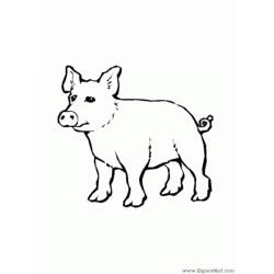 Coloring page: Pig (Animals) #3765 - Free Printable Coloring Pages