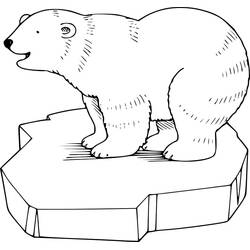 Polar Bear (Animals) coloring page #201221 to print and color