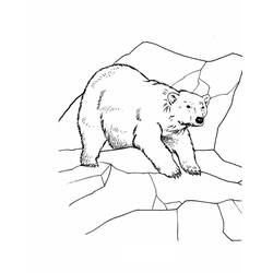 Polar Bear (Animals) coloring page #201222 to print and color