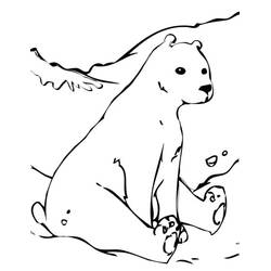 Polar Bear (Animals) coloring page #201223 to print and color