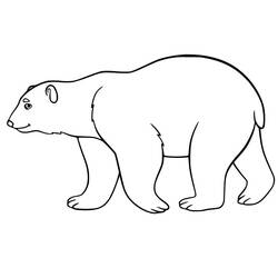 Polar Bear (Animals) coloring page #201229 to print and color