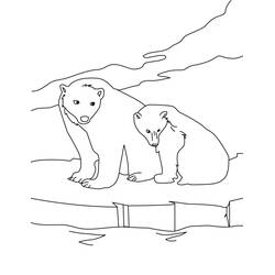 Polar Bear (Animals) coloring page #201242 to print and color