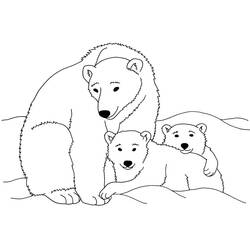 Polar Bear (Animals) coloring page #201262 to print and color