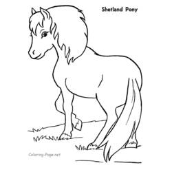 Coloring page: Pony (Animals) #17946 - Printable coloring pages