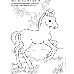 Coloring page: Pony (Animals) #17997 - Free Printable Coloring Pages