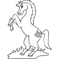 Coloring page: Pony (Animals) #18018 - Free Printable Coloring Pages