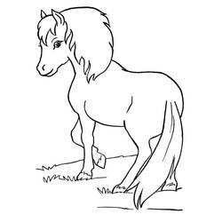 Pony (Animals) coloring page #210336 to print and color