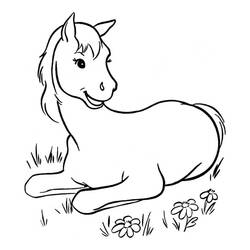 Pony (Animals) coloring page #214234 to print and color