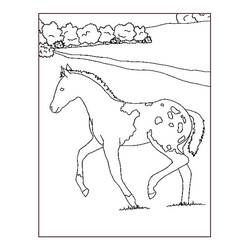 Pony (Animals) coloring page #214240 to print and color