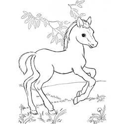 Pony (Animals) coloring page #214242 to print and color