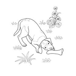 Coloring page: Puppy (Animals) #2940 - Free Printable Coloring Pages