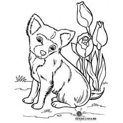 Coloring page: Puppy (Animals) #2941 - Free Printable Coloring Pages