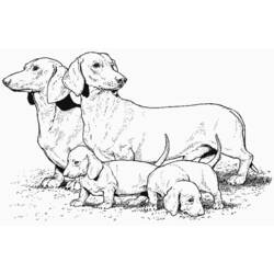 Coloring page: Puppy (Animals) #2960 - Free Printable Coloring Pages