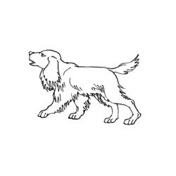 Coloring page: Puppy (Animals) #2964 - Free Printable Coloring Pages