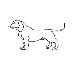 Coloring page: Puppy (Animals) #2979 - Free Printable Coloring Pages