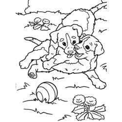 Coloring page: Puppy (Animals) #3005 - Free Printable Coloring Pages