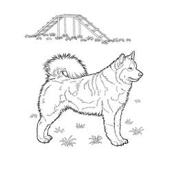 Coloring page: Puppy (Animals) #3008 - Free Printable Coloring Pages