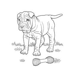 Coloring page: Puppy (Animals) #3044 - Free Printable Coloring Pages