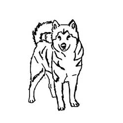 Coloring page: Puppy (Animals) #3048 - Printable coloring pages