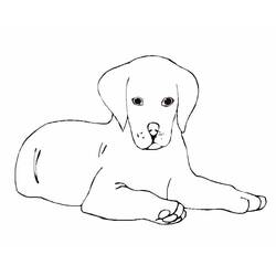 Coloring page: Puppy (Animals) #3052 - Free Printable Coloring Pages