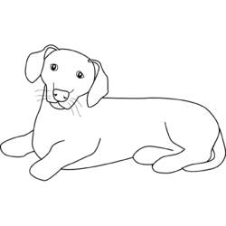 Coloring page: Puppy (Animals) #3059 - Free Printable Coloring Pages