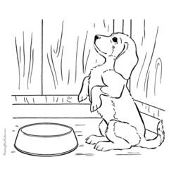 Coloring page: Puppy (Animals) #3070 - Free Printable Coloring Pages