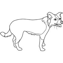 Coloring page: Puppy (Animals) #3088 - Printable coloring pages