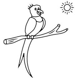 Coloring page: Quetzal (Animals) #180744 - Free Printable Coloring Pages